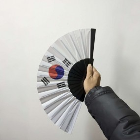 Éventails en plastique sur mesure avec votre logo